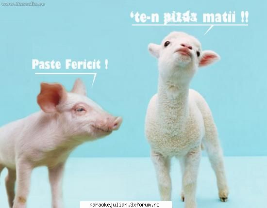 un paste fericit alaturi de cei dragi,va urez urari de la multi ani!